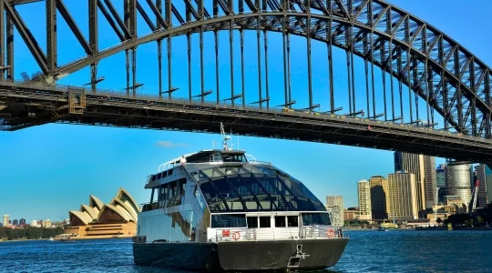 クリアビュー・グラスボート ランチクルーズ